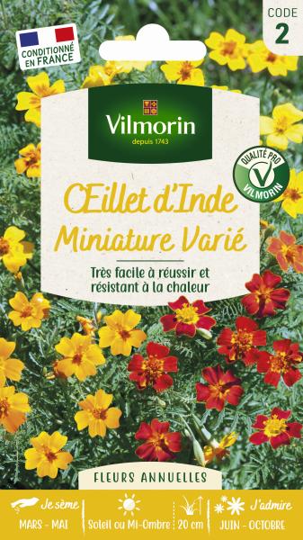 Fleurs - Œillet d'Inde Miniature Varié - PACKAGING_RECTO